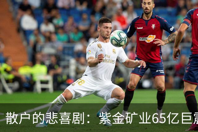 散户的悲喜剧：紫金矿业65亿巨震，到底是机遇还是圈套？